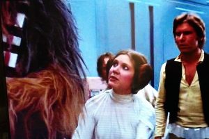 walkingCarpet_leia-300×200